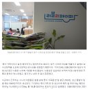 “출근길이 소풍처럼 설레요”…종이가죽 만드는 '러블리페이퍼' 이미지