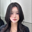 헤어스토리봄