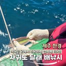 용치 | 제주 차귀도달래배낚시 3시간 리얼 후기 :: 포인트 잘 찍어주는 만족스런 낚시체험