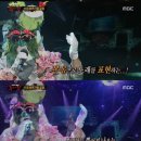 스톤 하와이 이미지