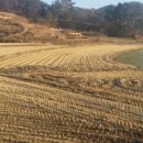 녹지부동산공인중개사사무소 이미지