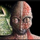 金두꺼비 이미지