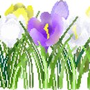 사랑이 머무는 미래 이미지