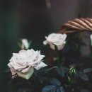 손끝세상 티스토리