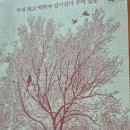 삶이 불안할 땐 주역 공부를 시작합니다 - 강기진 지음 ** 이미지