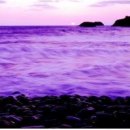 오션코어 이미지