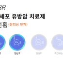 티에스(TS) 시스템 이미지