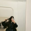 펠로살롱 이미지