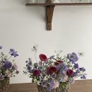 핏어팟(pit A pat) 이미지