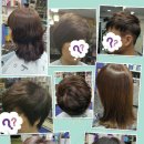 헤어고고 이미지