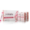 데일리 피쉬 이미지