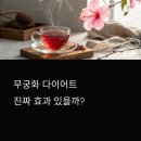 무궁화 다이어트 효과 있을까? 진짜 후기로 본 리얼 감량기