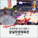 PET 66더3972 | 서울 잠실학생체육관 3층 310구역 11열 시야 농구관람 후기(주차, 서울SK나이츠 홈경기 일정)