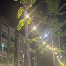 후안즈 이미지