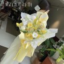 클로리스 이미지