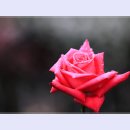 곡성-042 티스토리