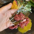 왜나한테육회 이미지