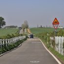 알라딘목장 이미지