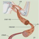 팀 제이 짐 이미지