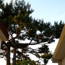 장전초등학교 병설유치원 이미지