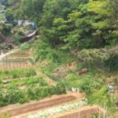 계룡초등학교병설유치원 이미지