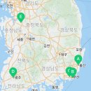 고양이분양제나캣사상점 이미지