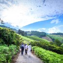 남해-256 이미지