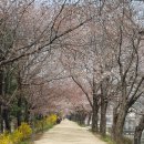 양평1동-4 이미지