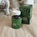 주메디 | 11살 노견 영양제 추천 "메디퍼피" 관절 근육 영양제 급여 후기