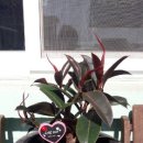 능서면행정복지센터 이미지