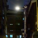 194 이미지