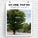 물안개 | 🚴🏼[라이딩 후기] 낯선 사람들, 익숙한 엔진~ 한강힐링자전거 게스트로 옥천냉면까지 털고 온 하루