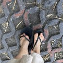 (주) 가인여행사 | 발리 요가 TTC 수련기 1