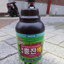 대유스토어 | 친환경 해충제 대유 총진싹 액제 실사용 후기｜효과·사용법 정리