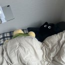 [240405]복수는 최고의 용서입니다.(리움미술관 필립파레노 전시/서촌 해그스/빅토리아베이커리...