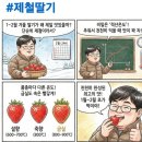 대덕농장 이미지