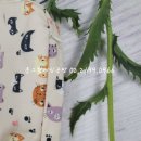 재봉틀로 배우는 생활소품 이미지