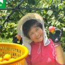 호길농장 이미지