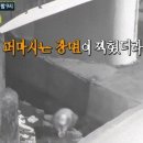 굴다리당구장 이미지