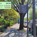 동보마켓 이미지