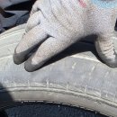 레퍼드모터스 이미지