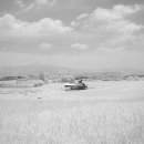 안성농장 이미지