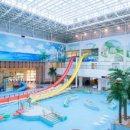 화순금호리조트푸드코트 이미지