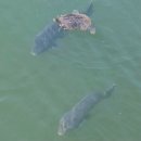 앞두루공원 | 월광수변공원 맛집 듬북칼국수 도원동 밥집 점심 리얼후기 🍲
