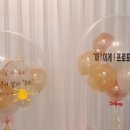 봉스파티기흥풍선