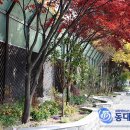 전곡초등학교 이미지