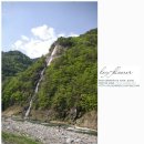 진동너와촌뜰사랑채 이미지