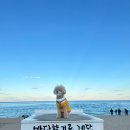 태일코스 이미지