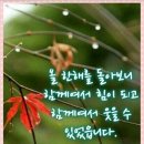 딩가 이미지