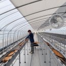 경영농장 이미지